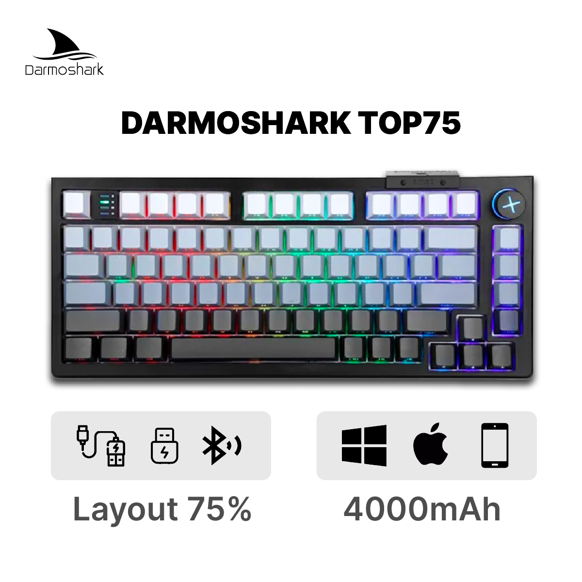 Darmoshark_TOP75 (switch từ tính)