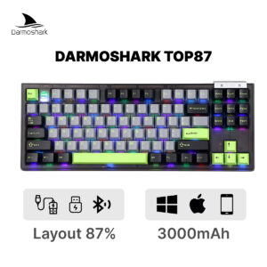 Darmoshark_TOP87